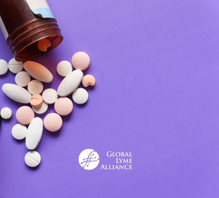 Combination Antibiotic Therapy Clears Lyme Disease in Mouse Model